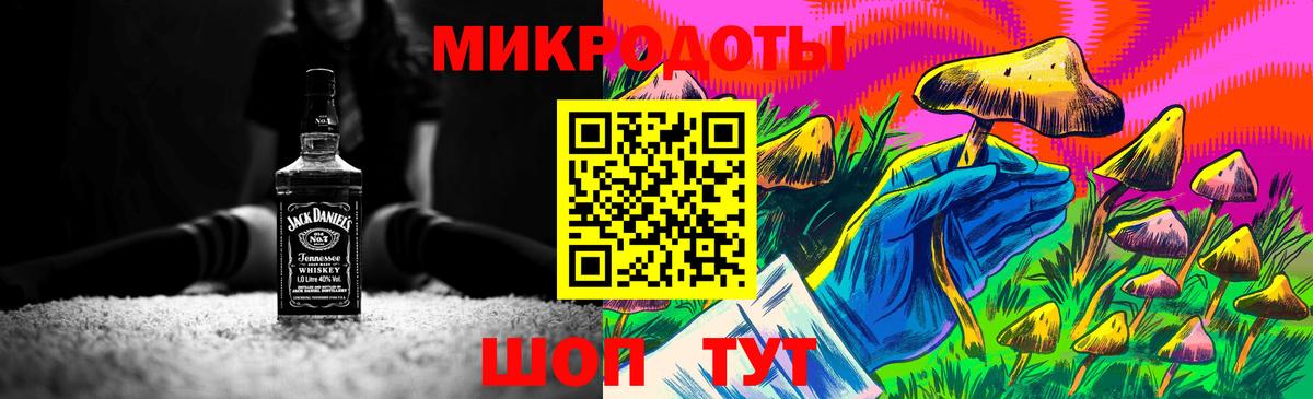 Чайковский  Псилоцибиновые грибы прущие грибы  Вход с VPN 